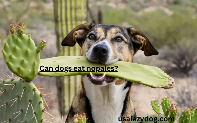 Can Dogs Eat Nopales?