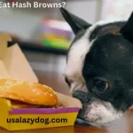 Can Dogs Eat Hash Browns?