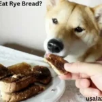 Can Dogs Eat Rye Bread?